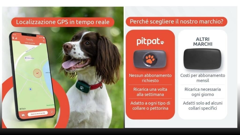 gps per cani senza abbonamento