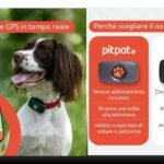 gps per cani senza abbonamento