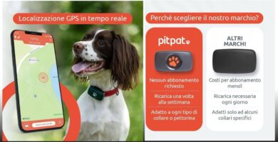 gps per cani senza abbonamento