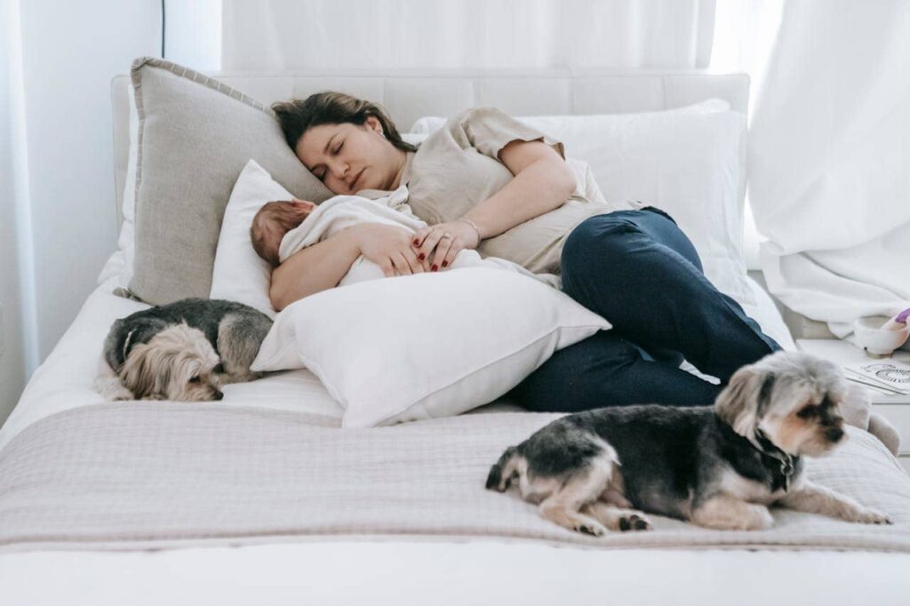 perché il cane dorme con te