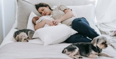 perché il cane dorme con te