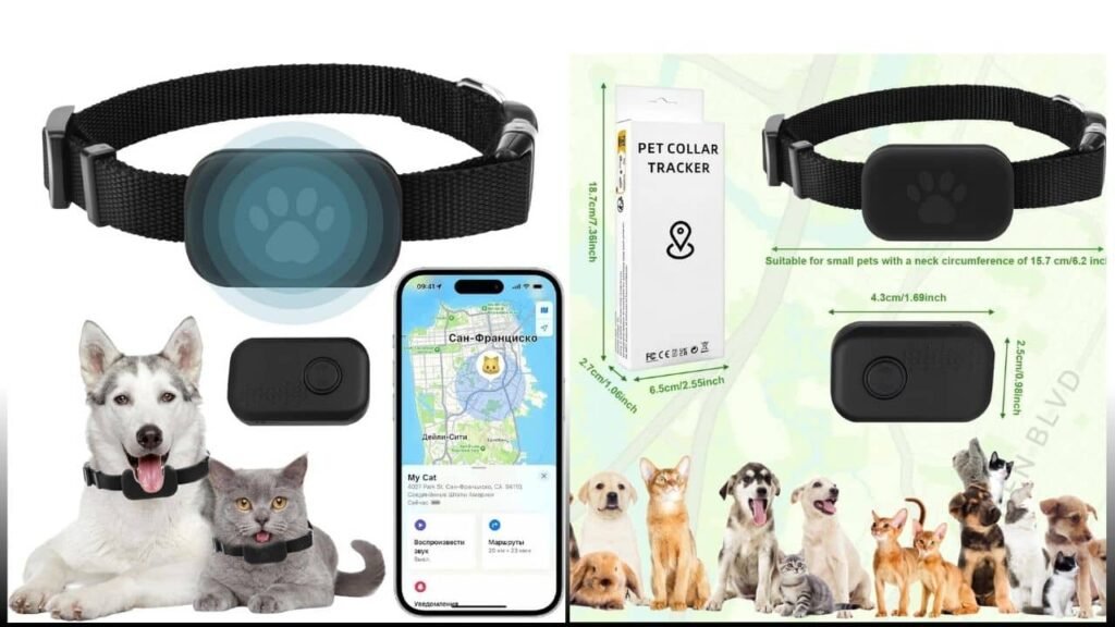 recensione kippy cat