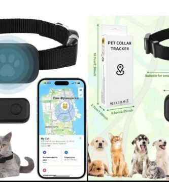 recensione kippy cat