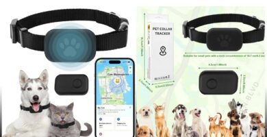 recensione kippy cat